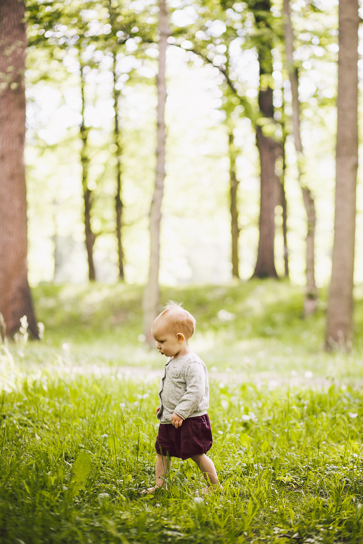 kleines Kind tapst allein durch den Wald